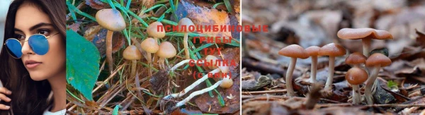 альфа пвп VHQ Бугульма