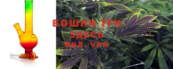 мяу мяу мука Бородино