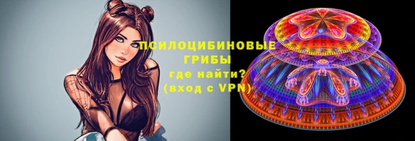 мяу мяу мука Бородино