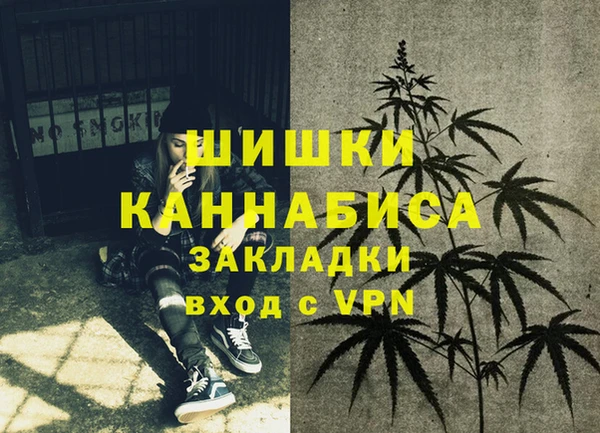 мяу мяу мука Бородино