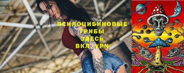 мяу мяу мука Бородино