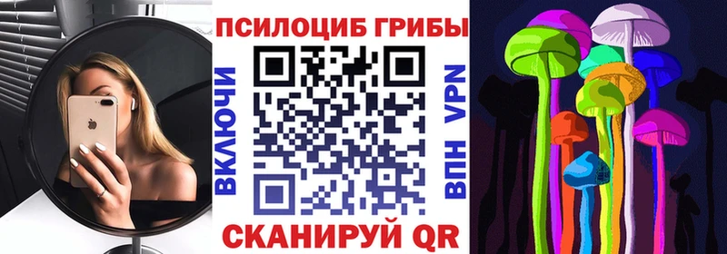 ссылка на мегу ТОР  Данков  Псилоцибиновые грибы ЛСД  цены  